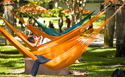 University of Miami color hammocks
