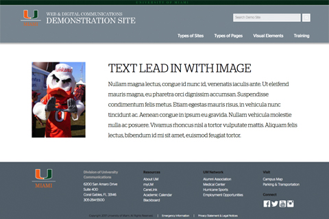 Text Lead-in With Image Visual Element Screenshot